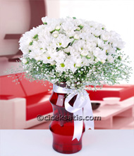 White Daisies in Red Vase