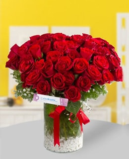 101 Red Roses in a Vase