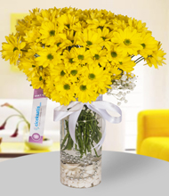 Yellow Daisies in Transparent Cylender Vase