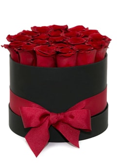 20 Red Roses in the Box