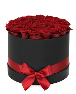 50 Red Roses in the Box